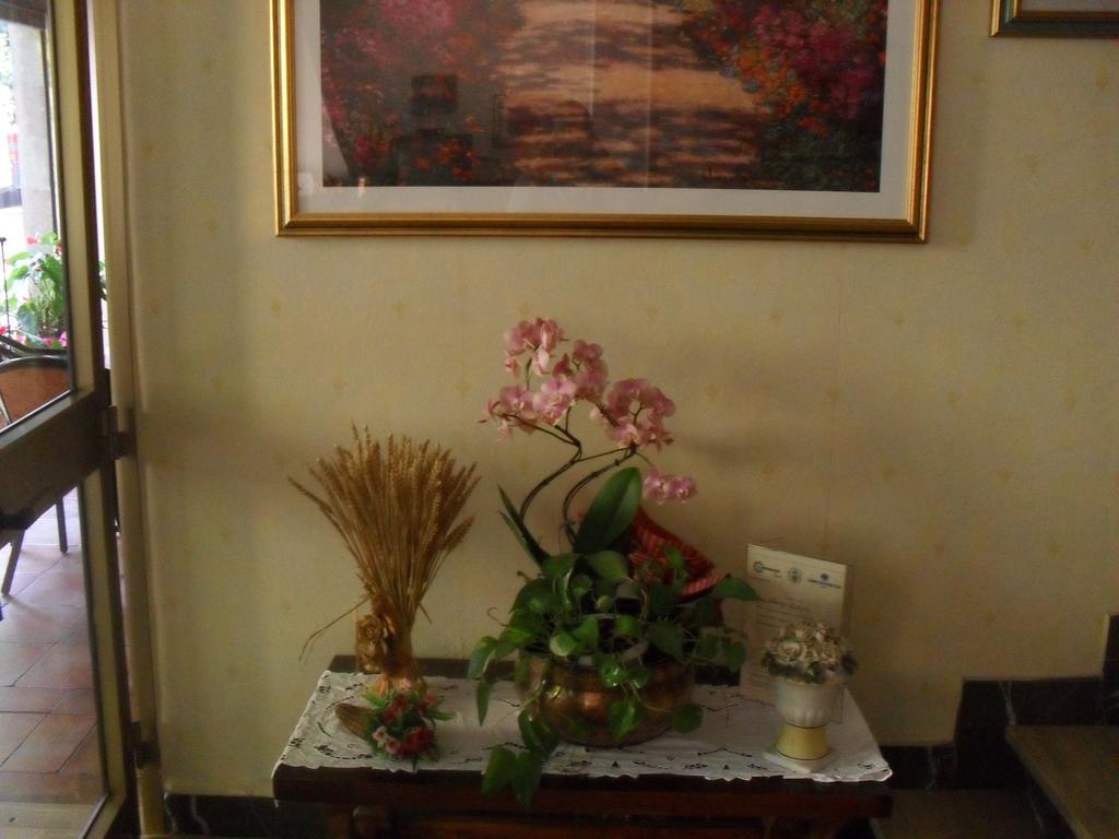 Albergo Ristorante Olimpia Abbadia San Salvator Zewnętrze zdjęcie